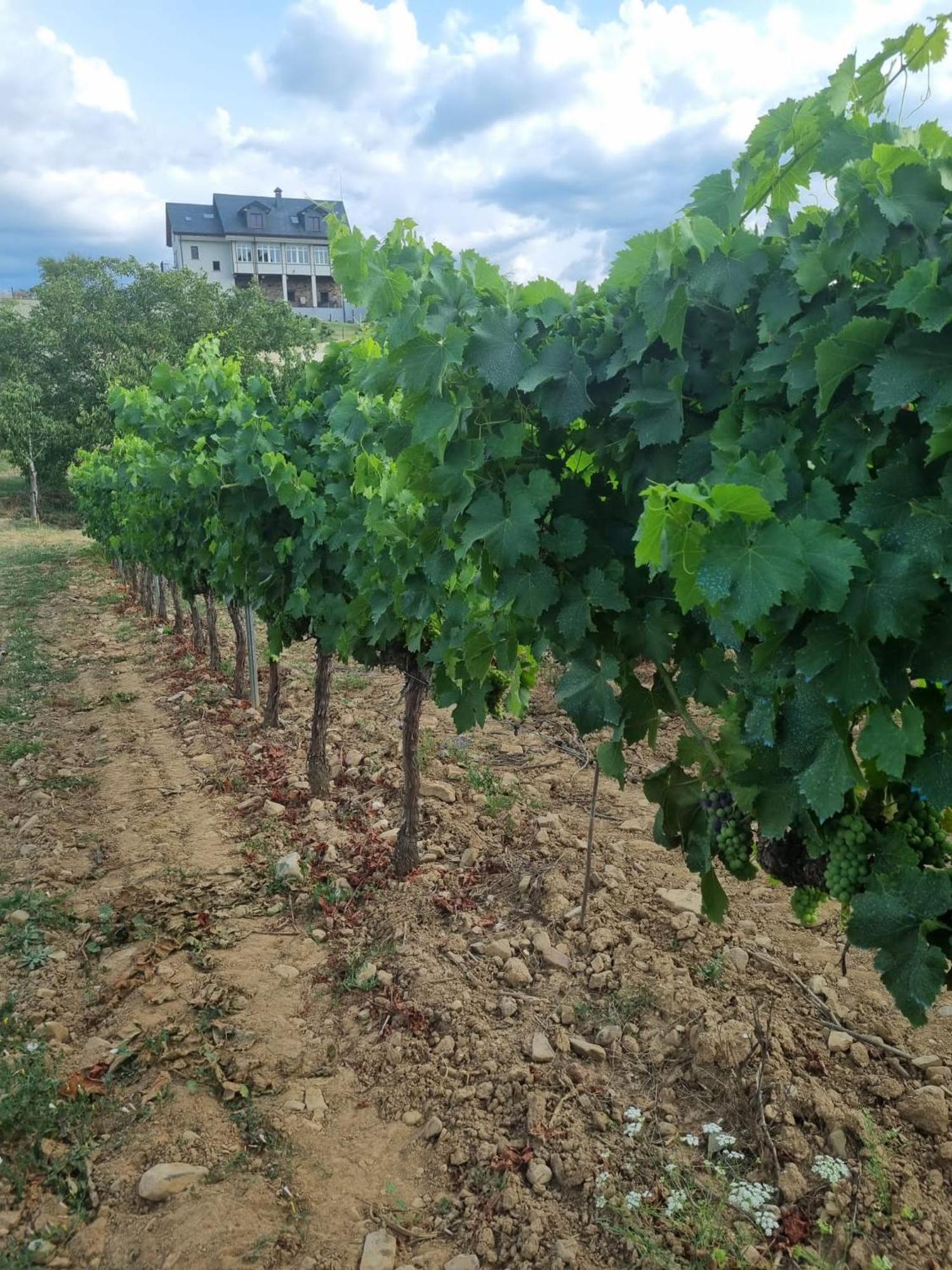 Boutique Finca Esencial Villafranca Del Bierzo Exterior foto