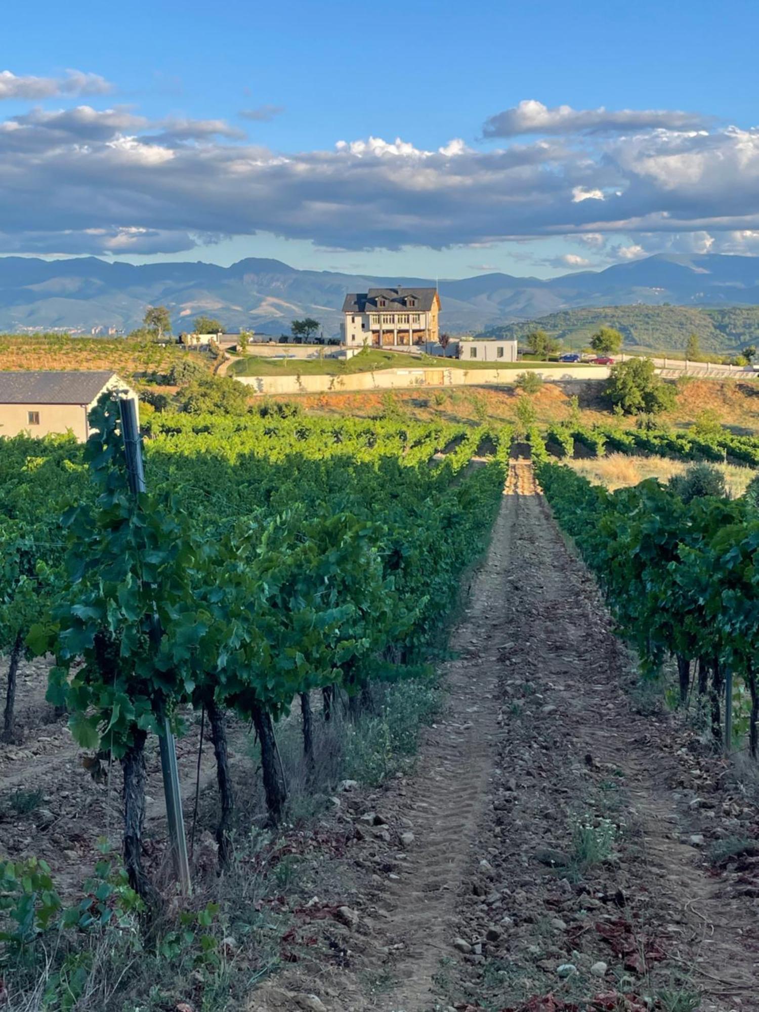 Boutique Finca Esencial Villafranca Del Bierzo Exterior foto